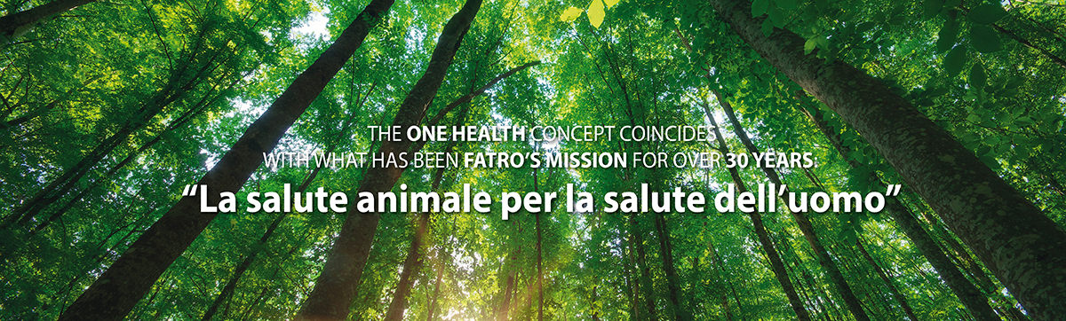 One health Eco health